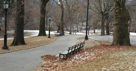 Central park, benches Stock Photos