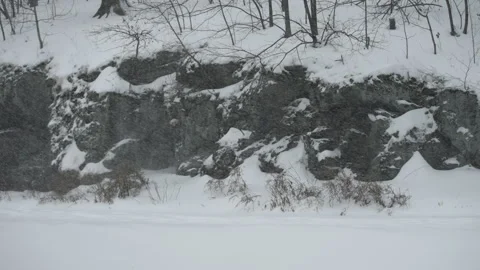 Central Park Blizzard Jogger Vidéo 330974766