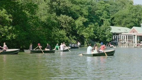 Central Park boat rowing 2 Stock Footage 108672283