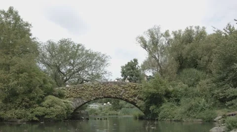 Central Park Bridge.mp4 Stock Footage 41840473