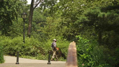 Central Park Conservancy landscapers work to keep the Central Park NYC clean Stock Footage 166061939
