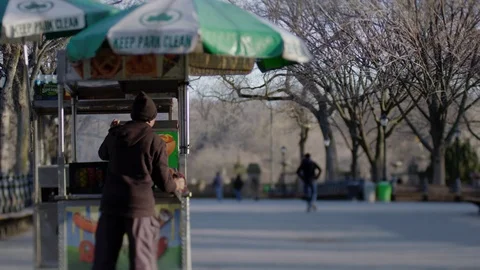 Central Park at Dawn Stock Footage 86220209