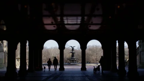 Central Park at Dawn Stock Footage 86220308