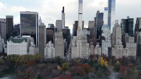 Central Park daytime skyline Stock Footage 256948052