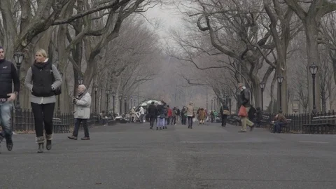 Central Park during winter 動画素材 71502671