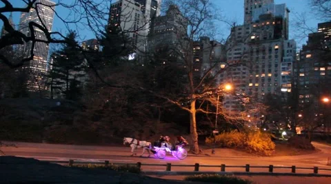 Central Park at Dusk Stock Footage 54869511