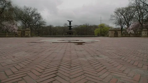 Central Park Empty Video stock 128146550