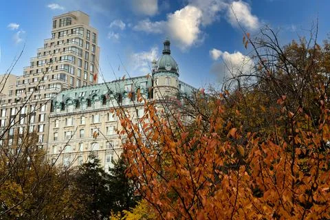 Central Park fall Stock Photos