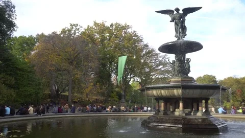Central Park Fontain 動画素材 85366572