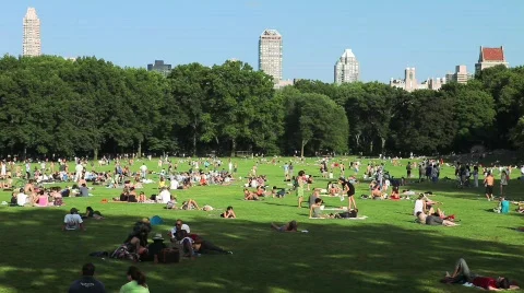 Central Park Stock Footage 496763