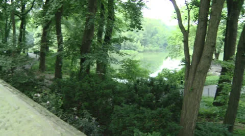 Central Park Stock Footage 22782897