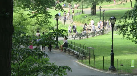 Central Park Stock Footage 22782985