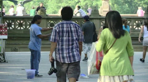 Central Park 스톡 동영상 22783023