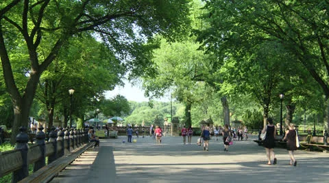 Central Park 스톡 동영상 22783033