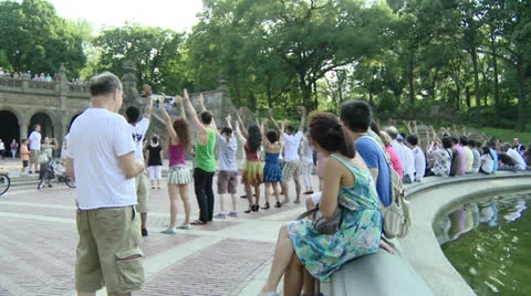 Central Park 스톡 동영상 22783115