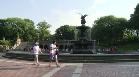 Central Park 스톡 동영상 22783126