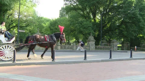 Central Park Stock Footage 22783498