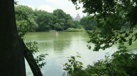 Central Park Stock Footage 22783509
