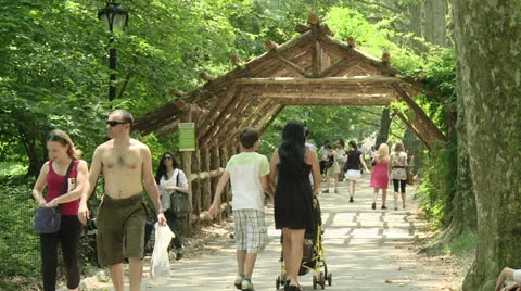 Central Park 스톡 동영상 22783689