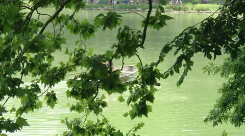 Central Park 스톡 동영상 22783911