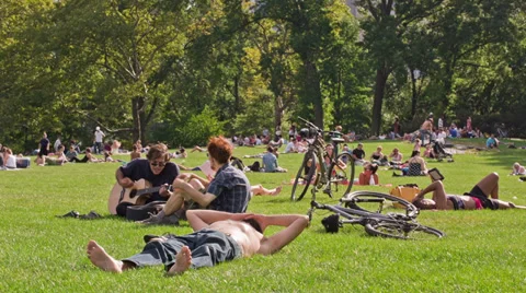 Central Park Stock Footage 29555732