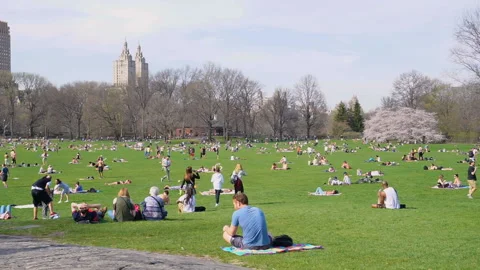 Central Park Видео 122565584