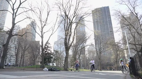 Central Park Stockbeeldmateriaal 122852531