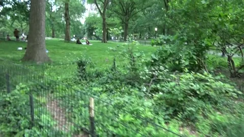 Central park Stock Footage 131763450