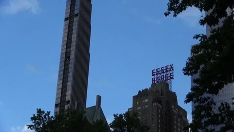 Central park  Stock Footage 131763480