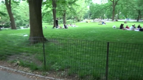 Central park  Stock Footage 131763485