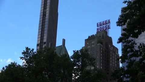 Central Park Stock Footage 131763516