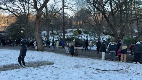 Central Park Stock Footage 310616464