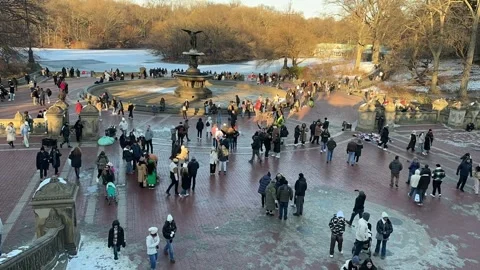 Central Park Stock Footage 310616467