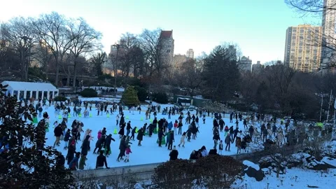 Central Park Stock Footage 310616553