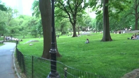 Central park grass Stock Footage 131763509