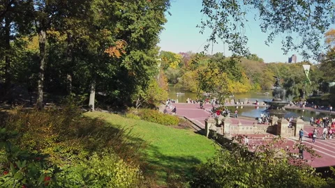 CENTRAL PARK LAKE 1 Stock Footage 155939682