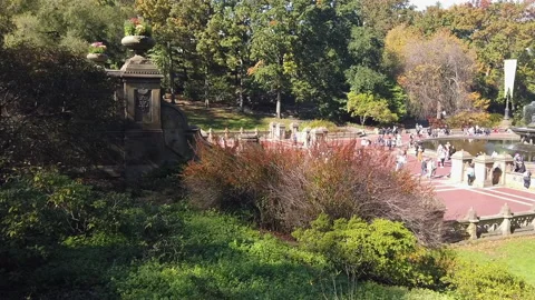 CENTRAL PARK LAKE 2 Stock Footage 155944764