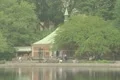 Central Park Lake Footage