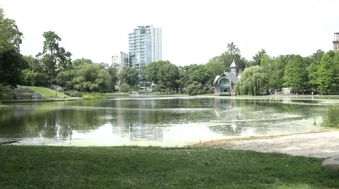 Central Park Lake Stock Footage 48334213