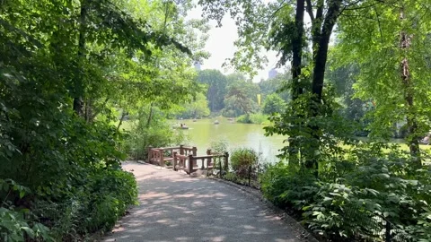 Central Park lake framed by lush summer trees along a quiet path Stock Footage 313809535