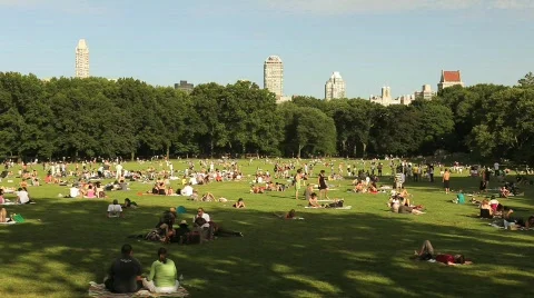 Central Park Landscape 1 Stock Footage 625795