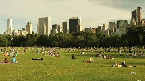 Central Park Landscape 2 Stock Footage 625794