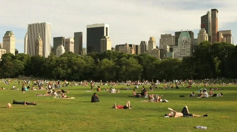 Central Park Landscape 3 Stock Footage 625789