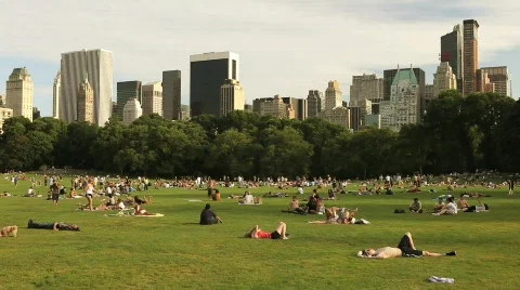 Central Park Landscape 4 Stock Footage 625785