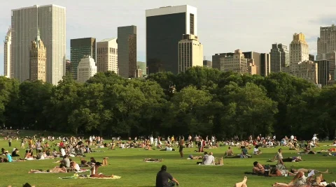 Central Park Landscape Stock Footage 625790