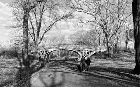 Central park lovers Stock Photos