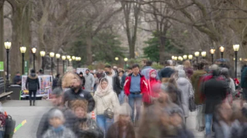Central Park Mall Timelapse Stock Footage 231808953