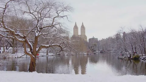 Central Park in Manhattan fully blanketed in snow, showing winter beauty of New Stock Footage 309300262