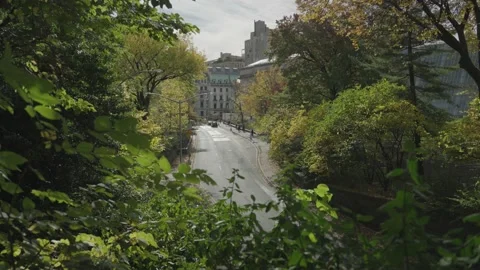 Central Park Manhattan NYC Fall Foliage - People Walking, Biking, Jogging Stock Footage 220350446