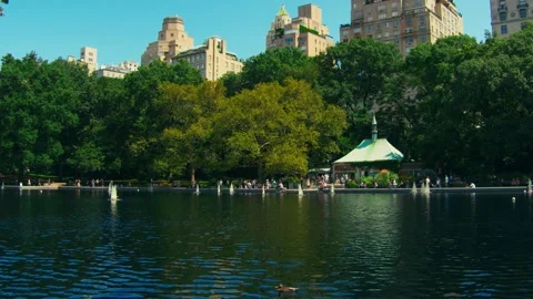 Central Park Model Boat Sailing Stock Footage 145990636